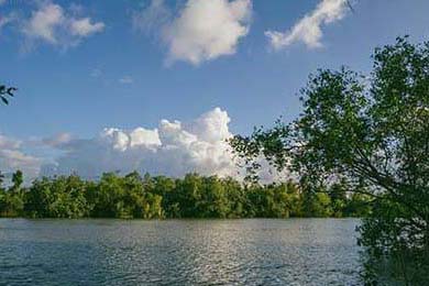 职业体育经纪人管理办法将于明年实施，体育职业经理人有什么用