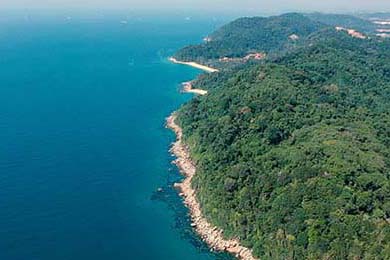 职业体育经纪人管理办法将于明年实施，体育职业经理人有什么用